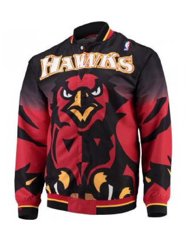 Atlanta Hawks NBA Team Mitchell & Ness 1995-96 Authentic Varsity Jacket (1)
